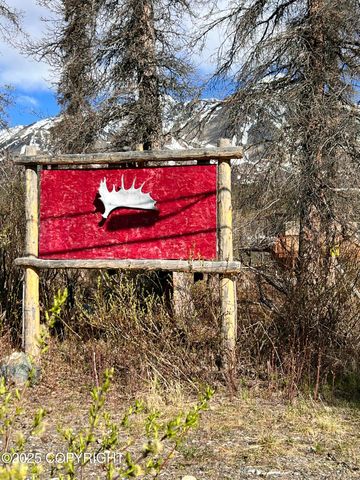 Mi 214.5 Parks Highway, Lot 15E, Cantwell, AK 99729