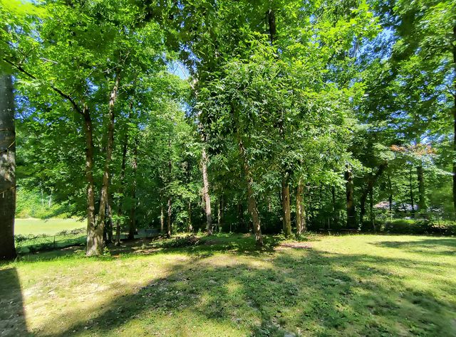 138 Hill Street, Ringgold, GA 30736