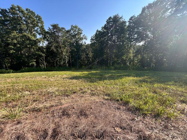 Lot 29 State Highway 60, Birchwood, TN 37308