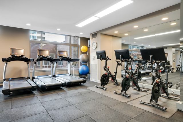 530 N Lake Shore Drive 1205, Chicago, IL 60611