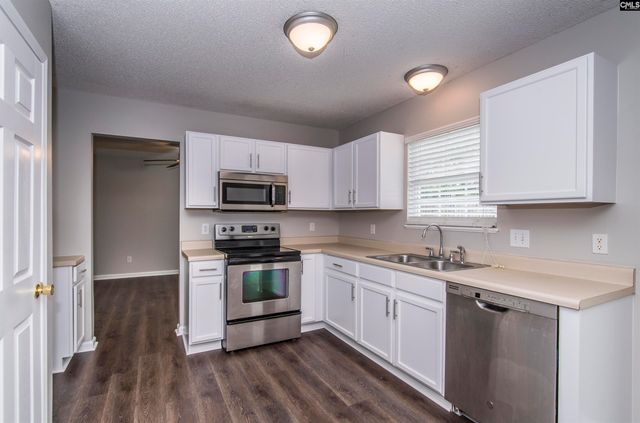 169 Walkbridge Way, Chapin, SC 29036