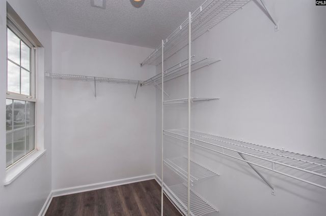 169 Walkbridge Way, Chapin, SC 29036