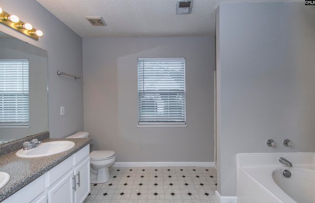 169 Walkbridge Way, Chapin, SC 29036