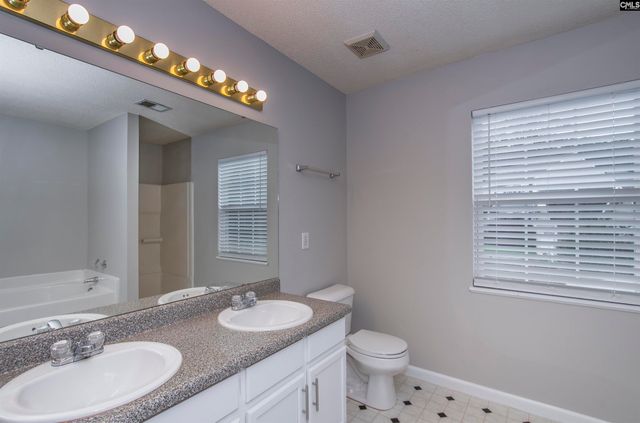 169 Walkbridge Way, Chapin, SC 29036