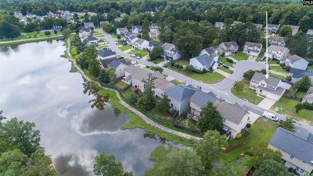 169 Walkbridge Way, Chapin, SC 29036
