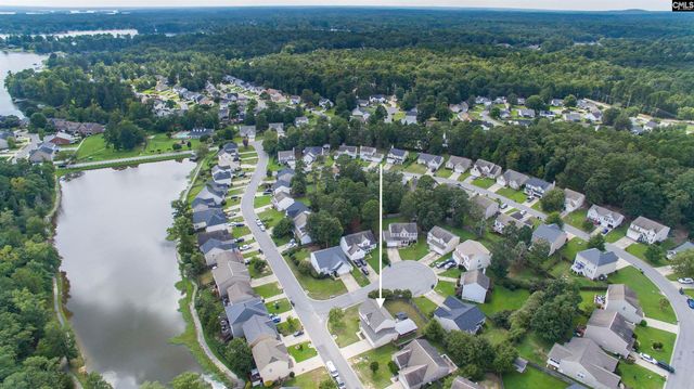 169 Walkbridge Way, Chapin, SC 29036