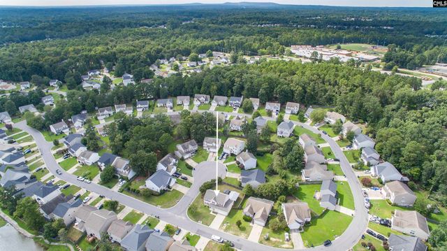 169 Walkbridge Way, Chapin, SC 29036