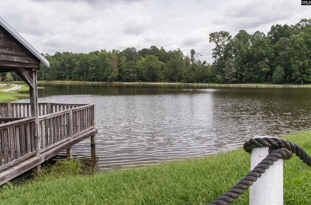 169 Walkbridge Way, Chapin, SC 29036