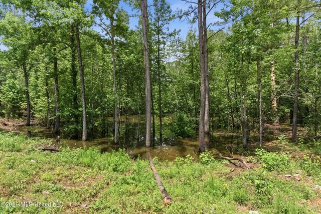 218 John Evans Road, Petal, MS 39465