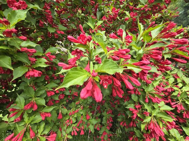 803 Centennial Parkway, Waunakee, WI 53597