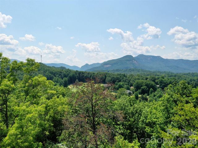 0 Buffalo Creek Road Lot 35, Lake Lure, NC 28746