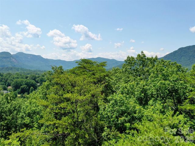 0 Buffalo Creek Road Lot 35, Lake Lure, NC 28746