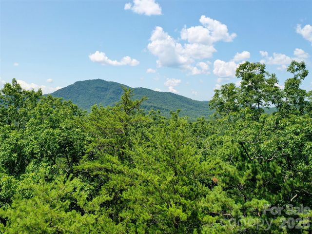 0 Buffalo Creek Road Lot 35, Lake Lure, NC 28746