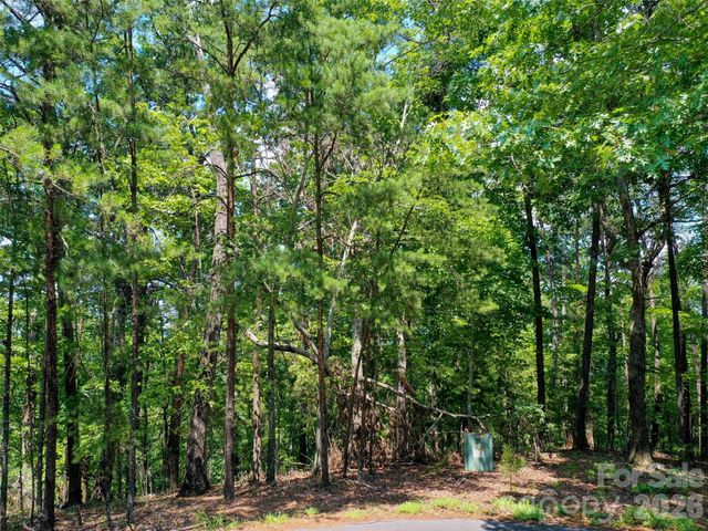 0 Buffalo Creek Road Lot 35, Lake Lure, NC 28746