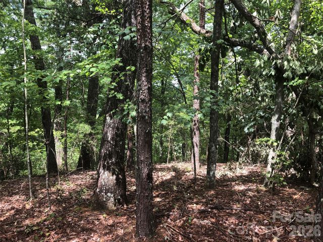 0 Buffalo Creek Road Lot 35, Lake Lure, NC 28746