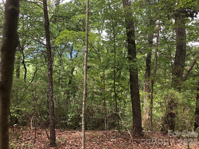 0 Buffalo Creek Road Lot 35, Lake Lure, NC 28746