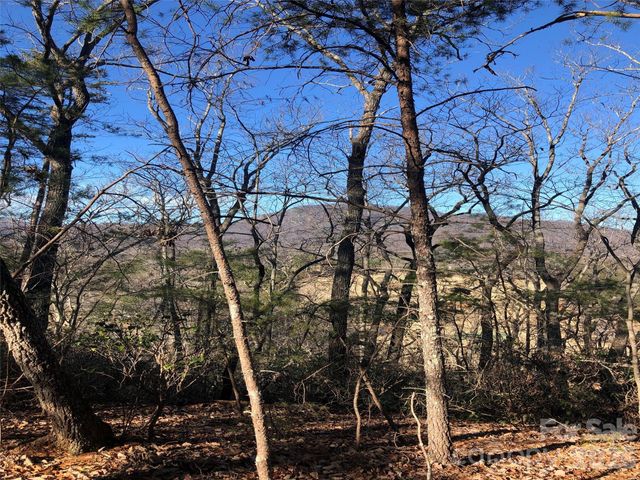 0 Buffalo Creek Road Lot 35, Lake Lure, NC 28746