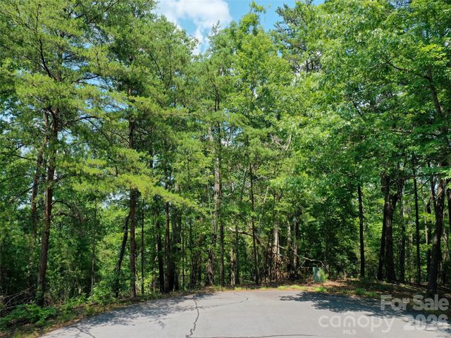 0 Buffalo Creek Road Lot 35, Lake Lure, NC 28746