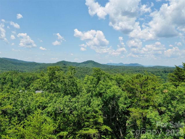 0 Buffalo Creek Road Lot 35, Lake Lure, NC 28746