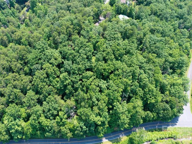0 Buffalo Creek Road Lot 35, Lake Lure, NC 28746