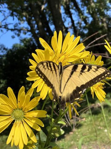 W831 STATE ROAD 91, Berlin, WI 54923