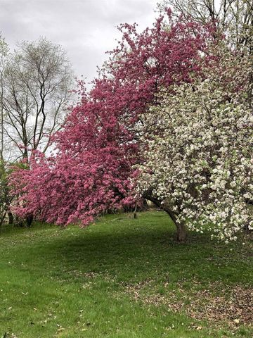 W831 STATE ROAD 91, Berlin, WI 54923