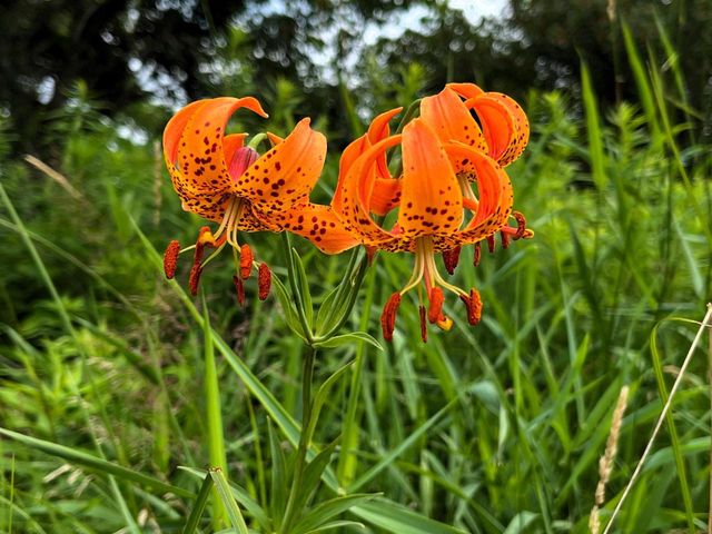 W831 STATE ROAD 91, Berlin, WI 54923