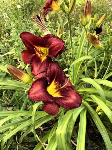 W831 STATE ROAD 91, Berlin, WI 54923