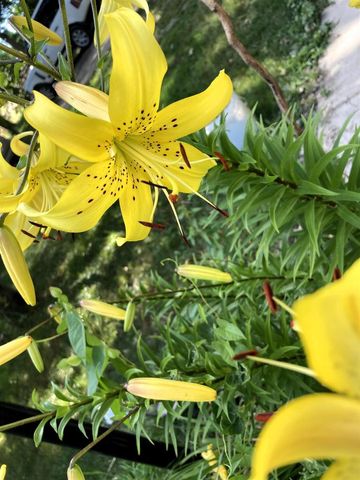 W831 STATE ROAD 91, Berlin, WI 54923