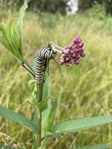 W831 STATE ROAD 91, Berlin, WI 54923