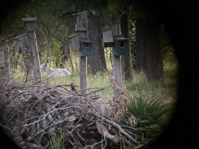 W831 STATE ROAD 91, Berlin, WI 54923