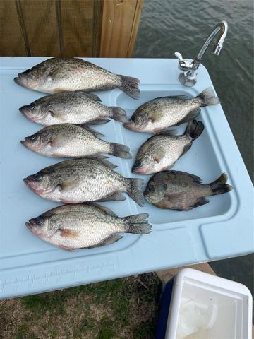 11974 N Ridgeway Drive, Willis, TX 77318