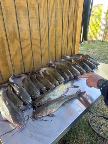 11974 N Ridgeway Drive, Willis, TX 77318