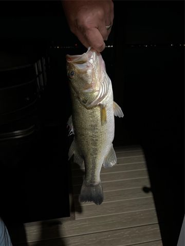 11974 N Ridgeway Drive, Willis, TX 77318