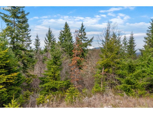 5195 YORK HILL Dr, Hood River, OR 97031