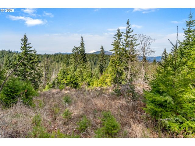 5195 YORK HILL Dr, Hood River, OR 97031