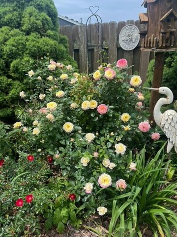 590 Brentwood Road, Machesney Park, IL 61115