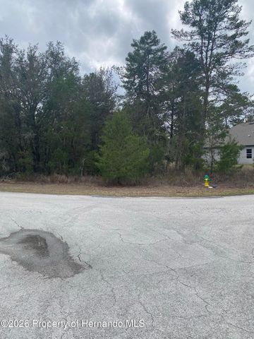 6 Pepper Court, Homosassa, FL 34446