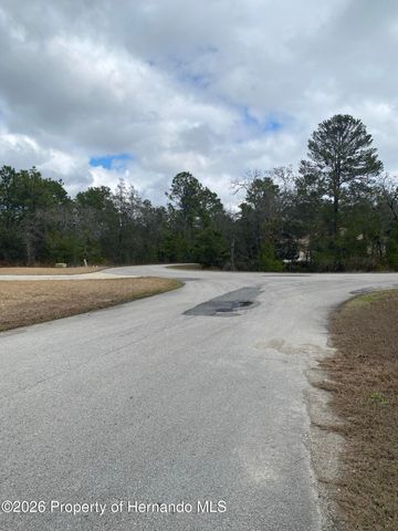 6 Pepper Court, Homosassa, FL 34446