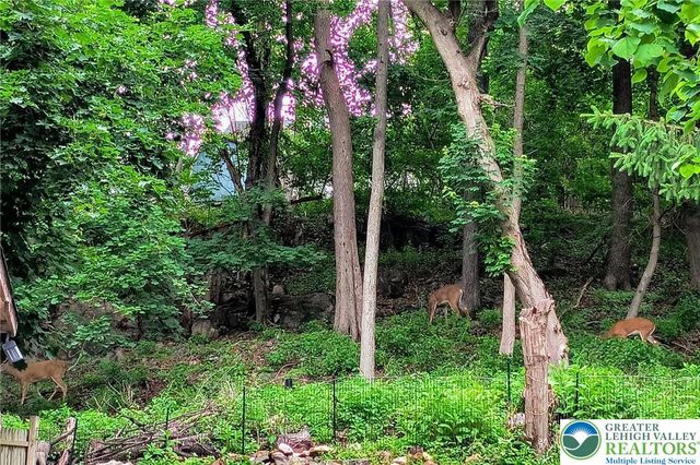 1291 Seidersville Road, Lower Saucon Twp, PA 18015