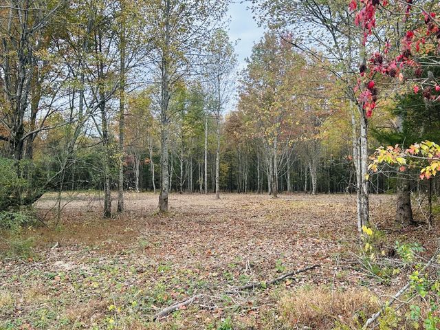 0 Johnson Rd, Westmoreland, TN 37186