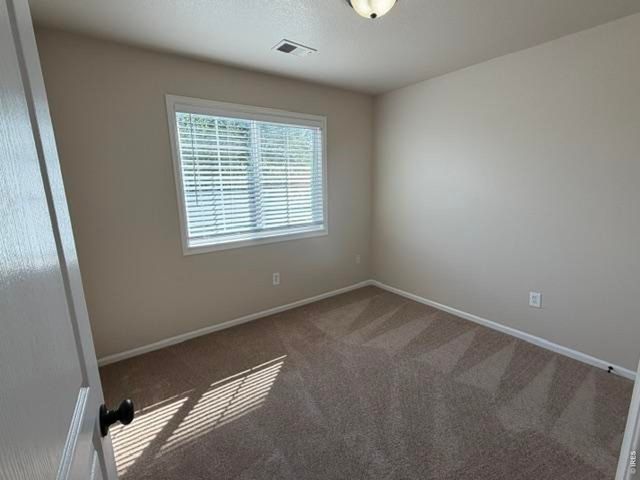 894 Durum St, Windsor, CO 80550