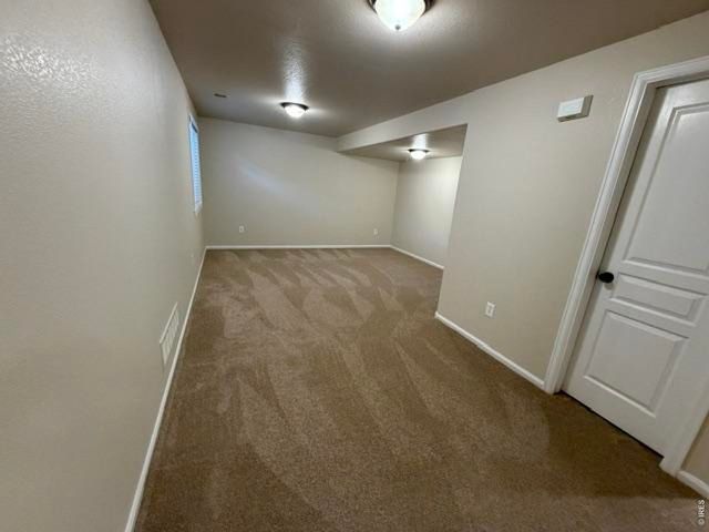 894 Durum St, Windsor, CO 80550