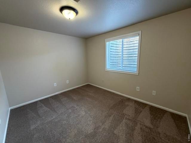 894 Durum St, Windsor, CO 80550