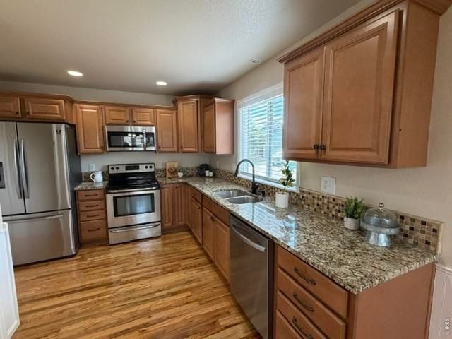 894 Durum St, Windsor, CO 80550