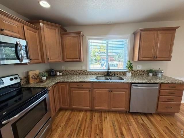 894 Durum St, Windsor, CO 80550
