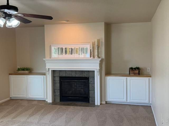894 Durum St, Windsor, CO 80550