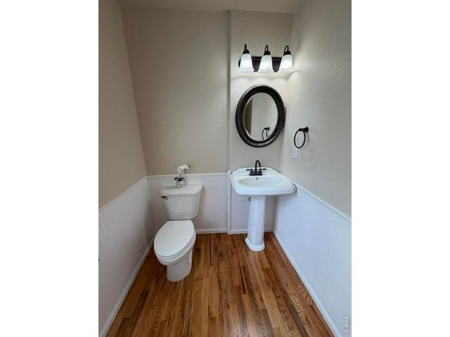 894 Durum St, Windsor, CO 80550
