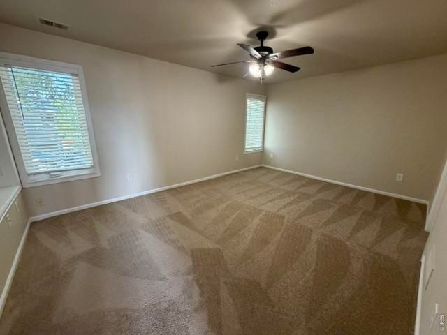 894 Durum St, Windsor, CO 80550