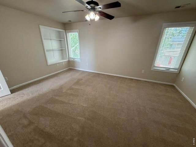 894 Durum St, Windsor, CO 80550